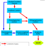 dual-route-modell.png