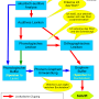 dual-route-modell-erkl.png