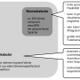 grafik_kern-randvokabular.png